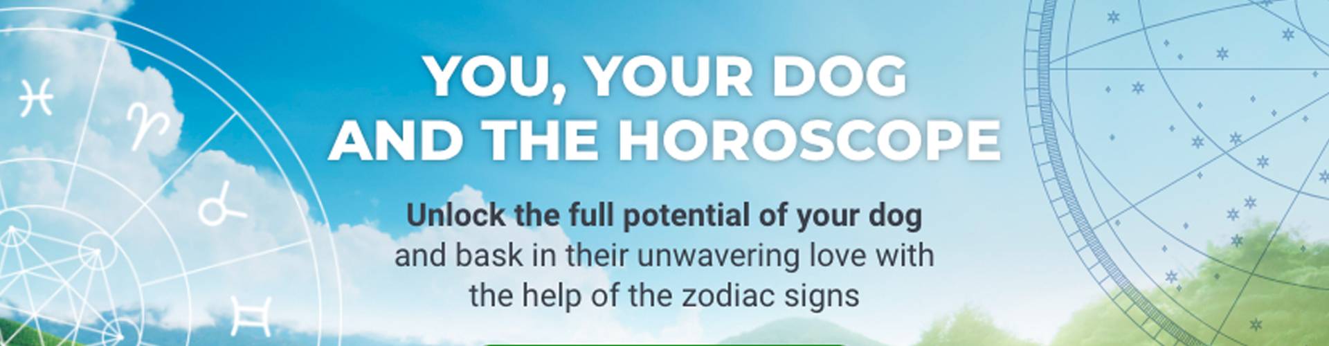 the canine zodiac signs