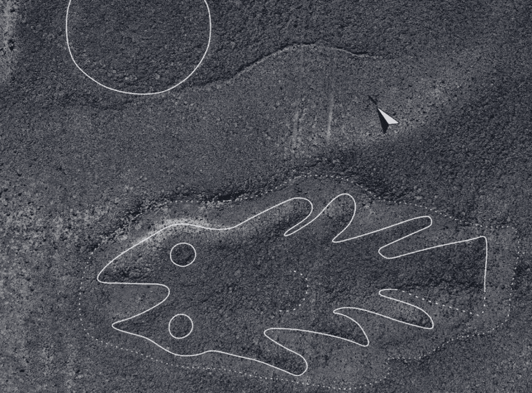 dibujo de serpiente desierto líneas de nazca