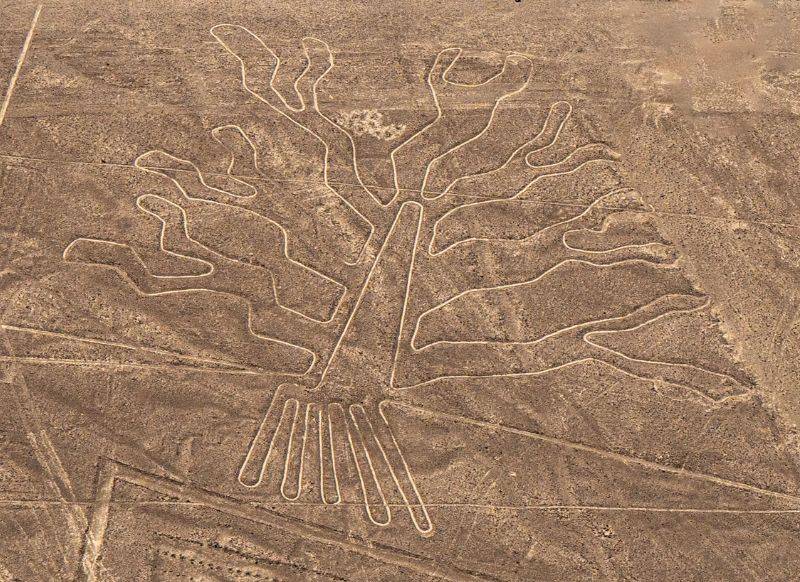 figura del árbol de la vida desierto de Nazca